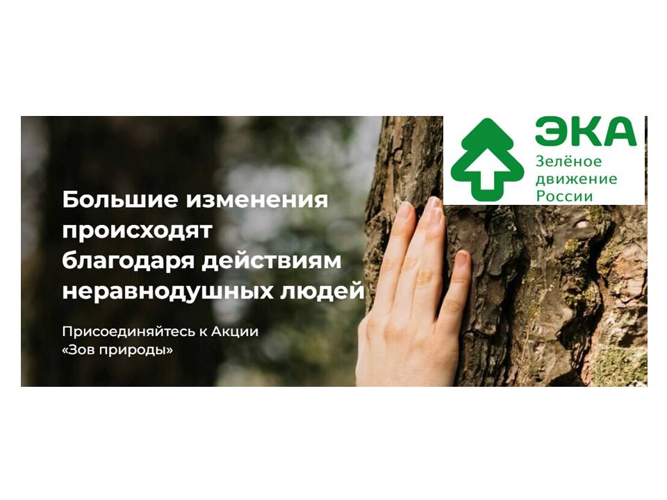 Конкурс организаторов уборок «Зов природы»