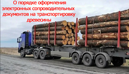 Разъяснения о порядке оформления электронных сопроводительных документов на транспортировку древесины