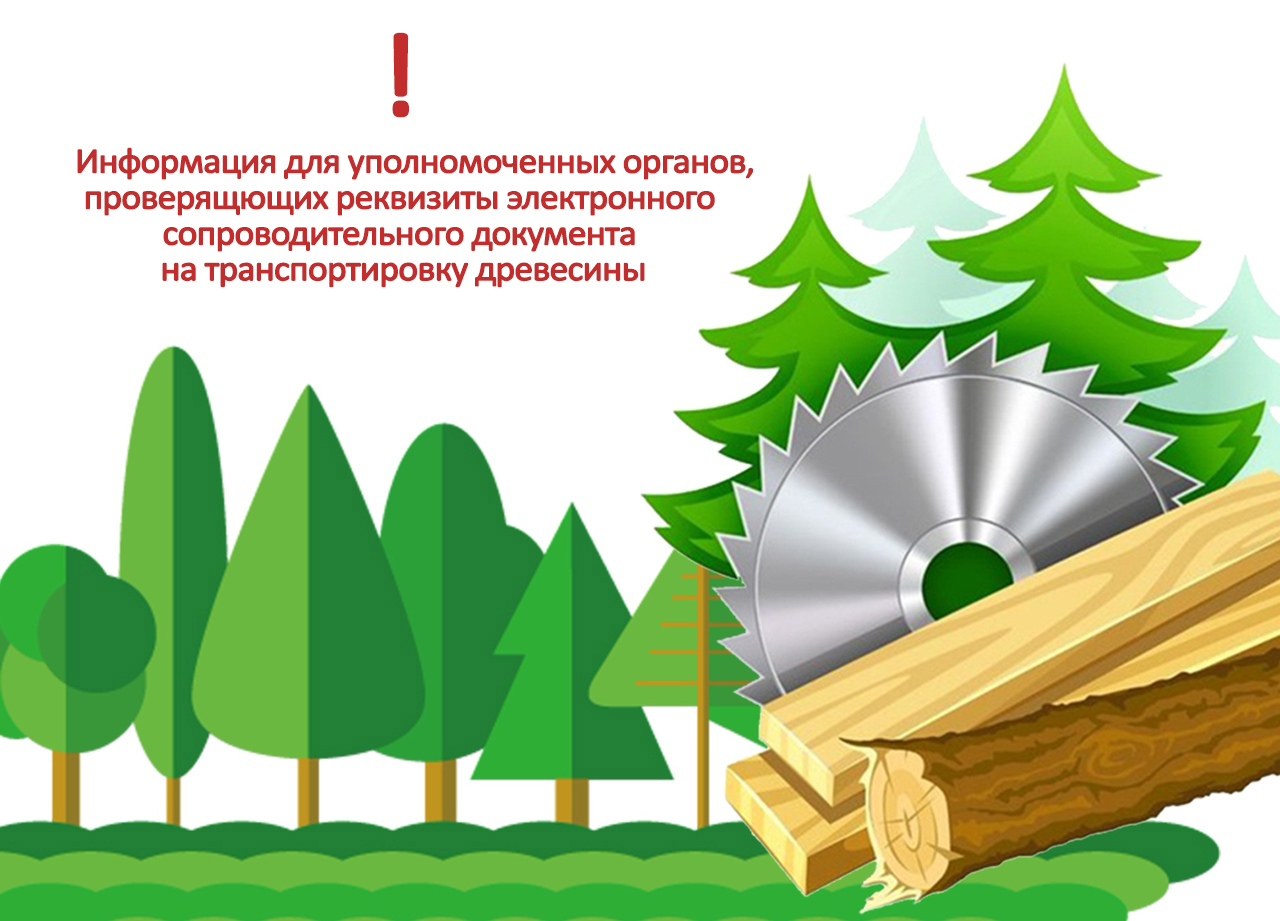 Информация для уполномоченных органов,проверяющих реквизиты электронного сопроводительного документа на транспортировку древесины