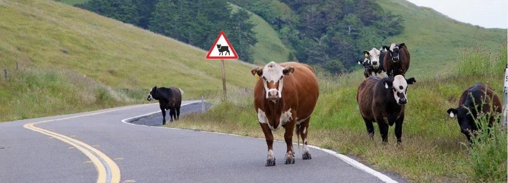 Уважаемые водители!  ⚠️ 