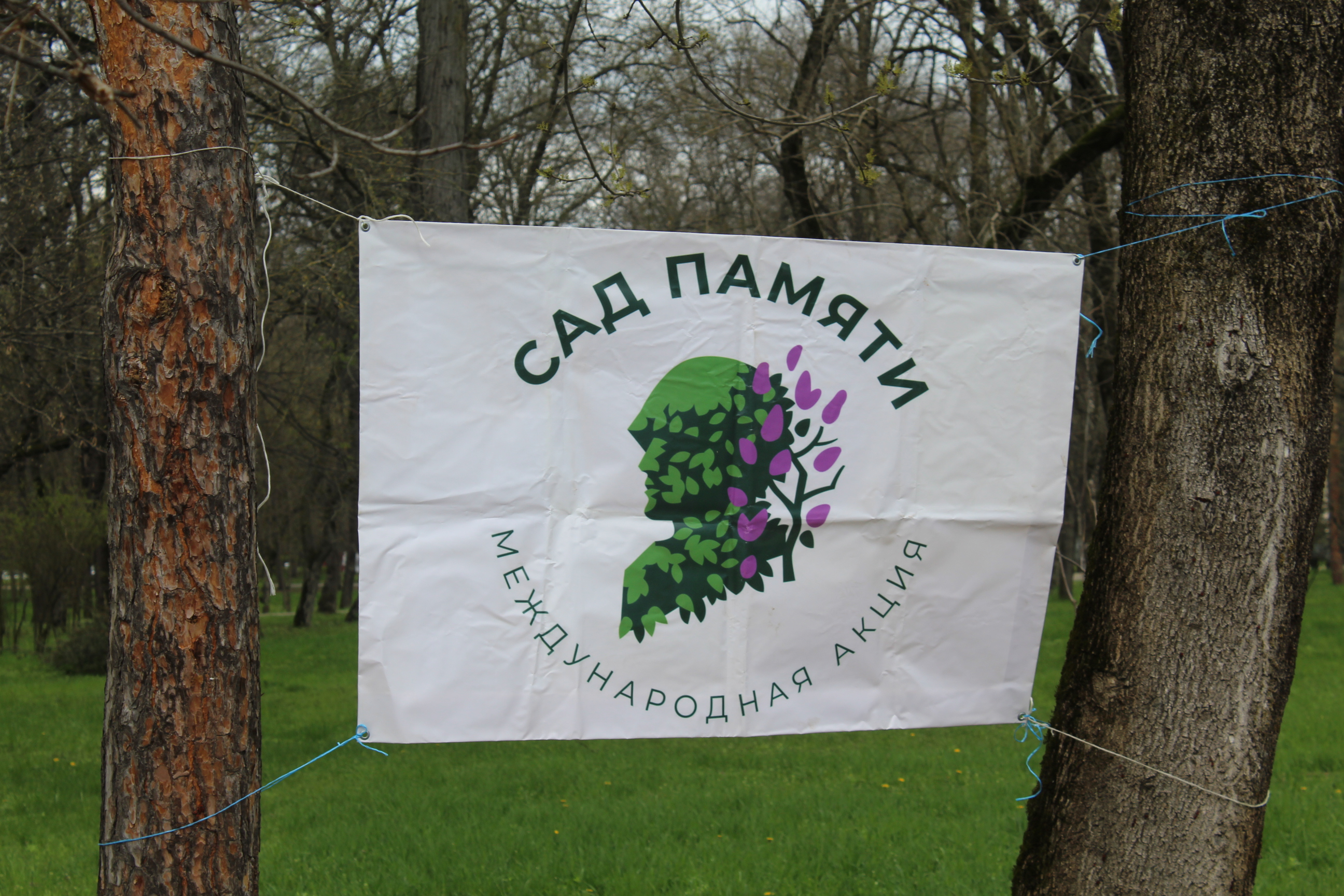 Состоялось центральное мероприятие в рамках международной акции "Сад Памяти" (10.04.2026.)