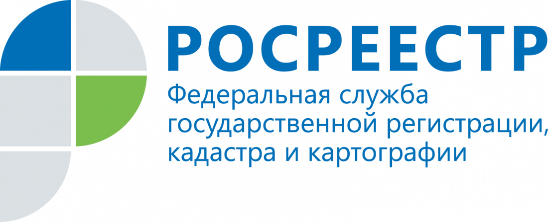 Кадастровая палата проводит «Горячие линии»