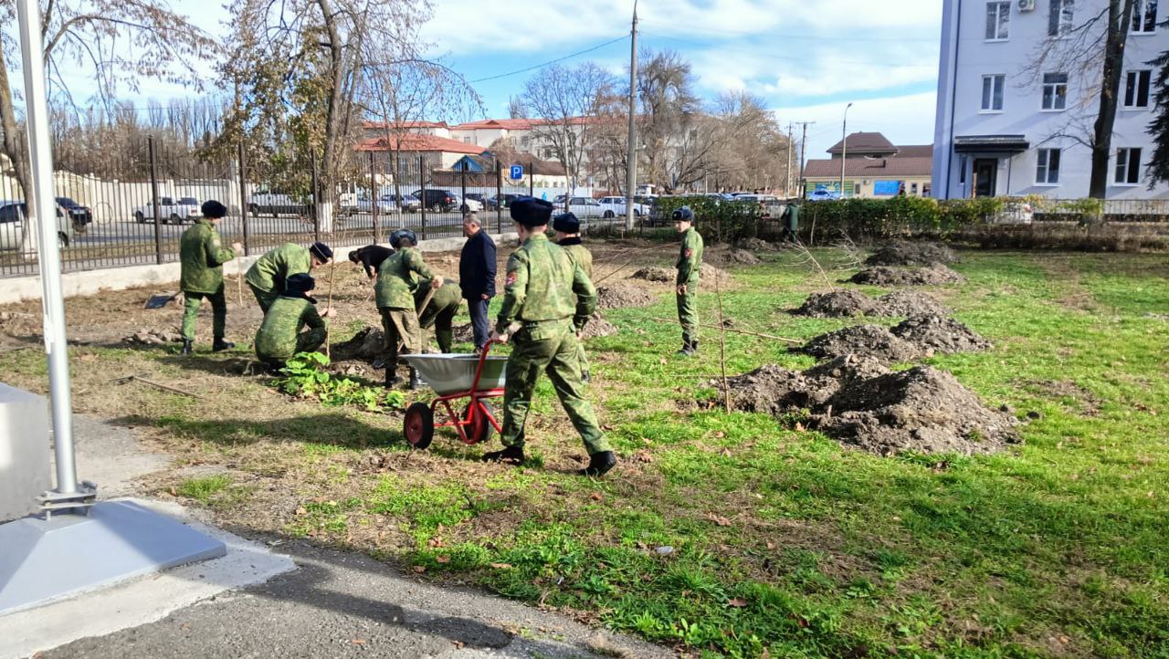 В Терской школе разбили сквер в память о погибших участниках СВО
