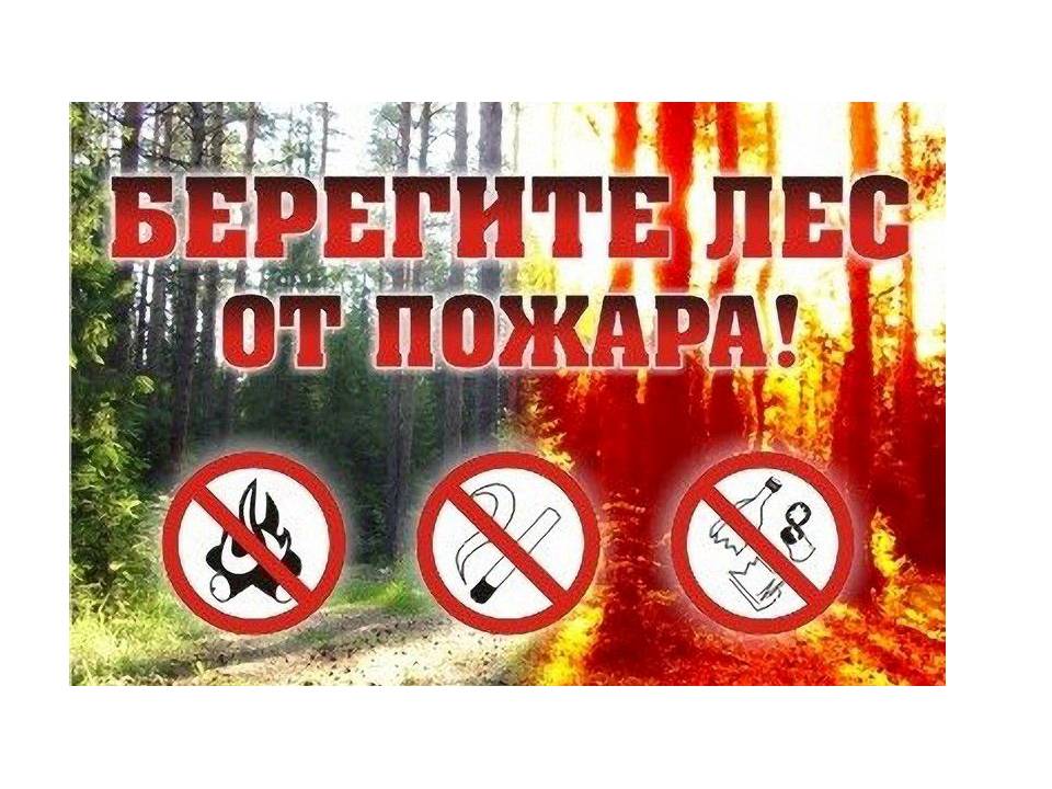 Лесопожарная обстановка на землях лесного фонда Кабардино-Балкарии 