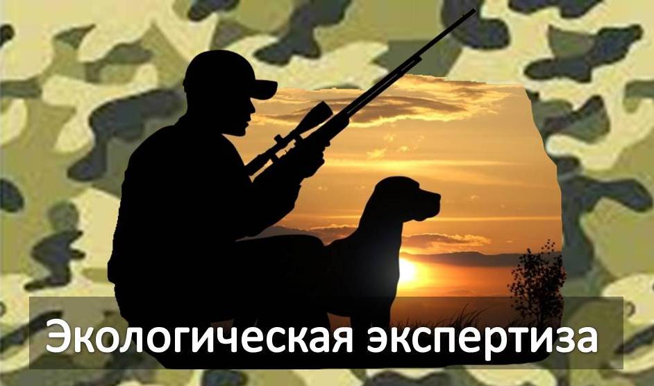 Проведена государственная экологическая экспертиза материалов обоснования «Лимитов и квот добычи охотничьих ресурсов в охотничьих угодьях Кабардино-Балкарской Республики на период с 1 августа 2026 г. до 1 августа 2027 г.»