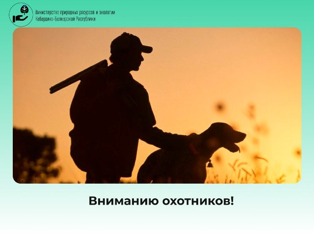 08.09.2025 пройдет онлайн-жеребьевка на получение разрешений на добычу кавказского тура на территории общедоступных охотничьих угодий КБР