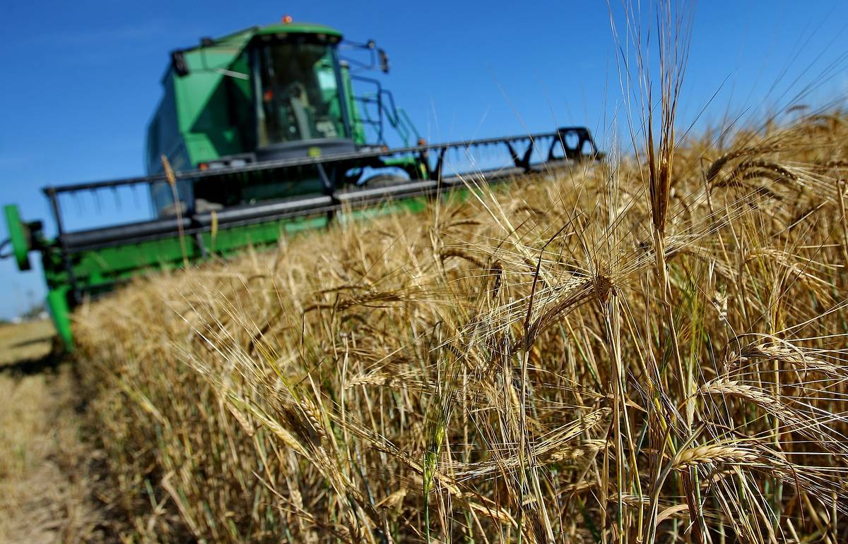 Производители сельхозпродукции России получат 5 млрд рублей льготных кредитов