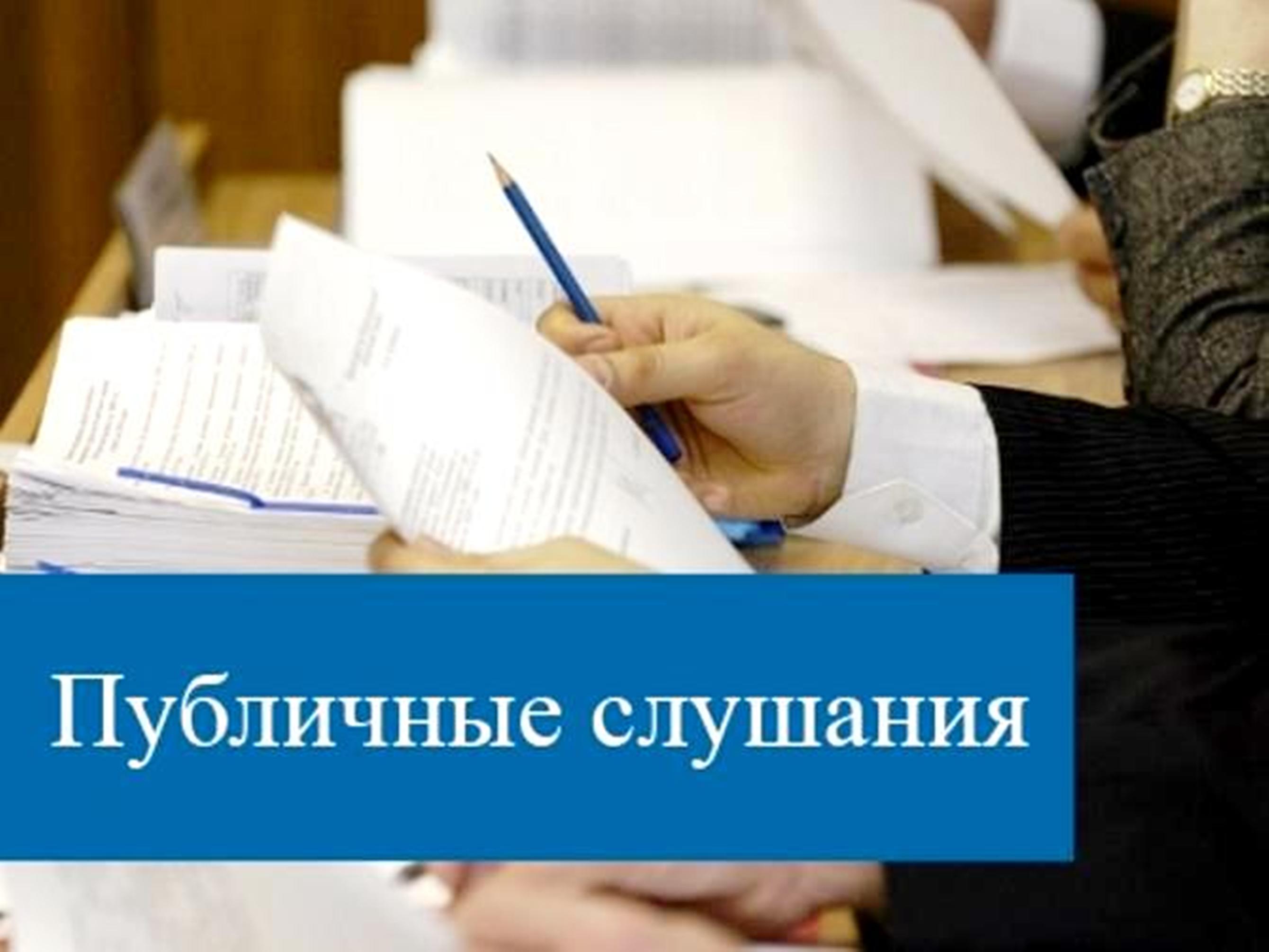 Проведение общественных обсуждений предварительных материалов оценки воздействия на окружающую среду 