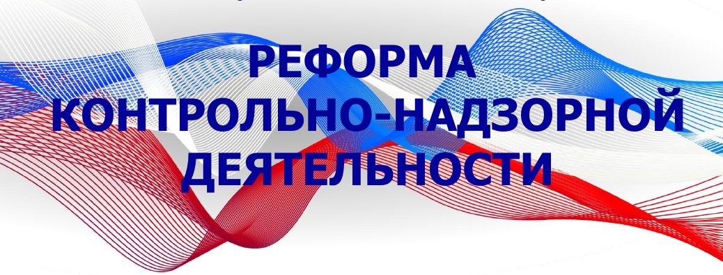 Реформа контрольной (надзорной) деятельности 
