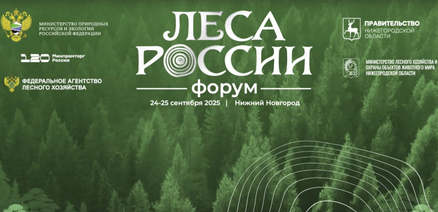 Сегодня в Нижнем Новгороде начал свою работу форум "Леса России"