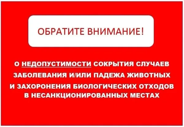 Информирование населения о недопустимости сокрытия случаев заболевания и падежа животных и захоронения биологических отходов в несанкционированных местах