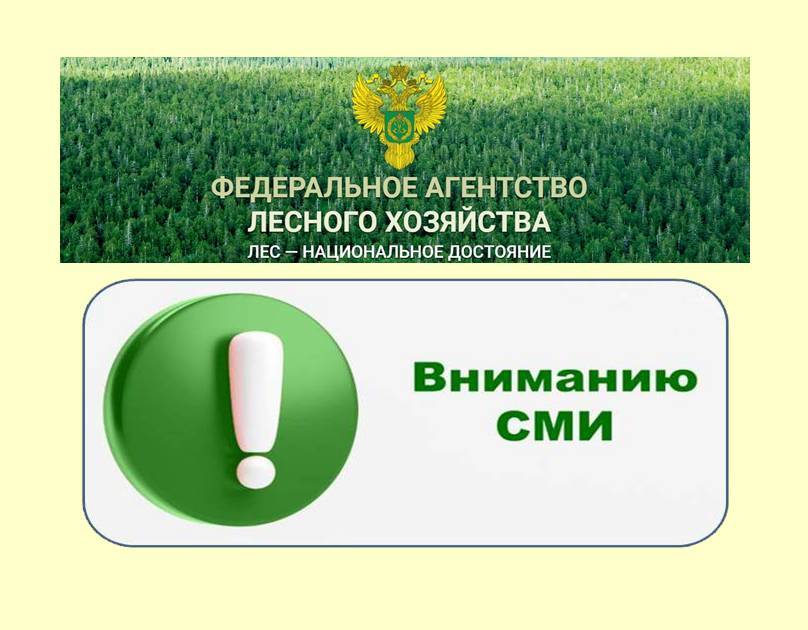 СООБЩЕНИЕ ДЛЯ СМИ: РЕАЛЬНАЯ ЛЕСОПОЖАРНАЯ ОБСТАНОВКА
