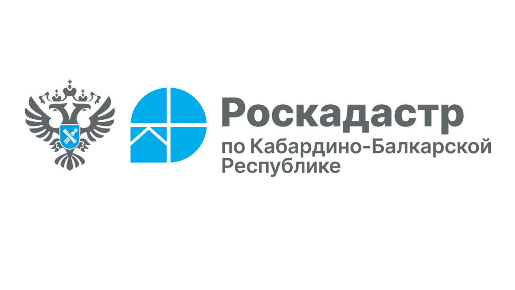 Региональный Роскадастр разъясняет порядок получения сведений из ЕГРН несовершеннолетними лицами